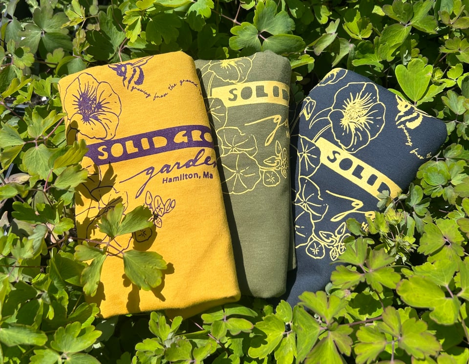 Three folded Solid Ground Gardens t shirts, one mustard yellow, one olive green, and one navy blue, nestled amongst some columbine leaves