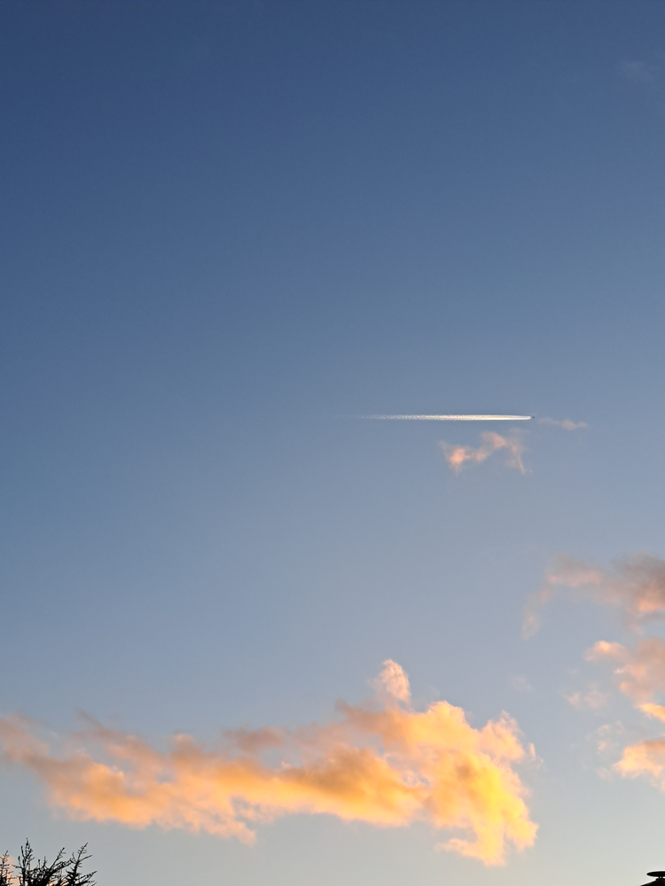 This Sunday's hangouts