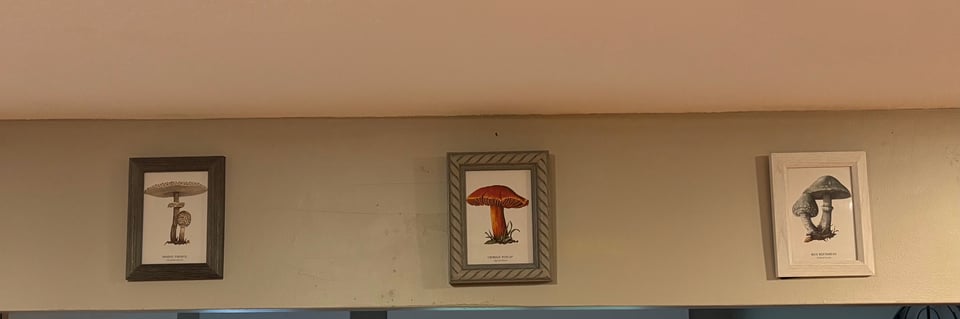 On the Thames, thoughtful consumption, and finding joy in creation