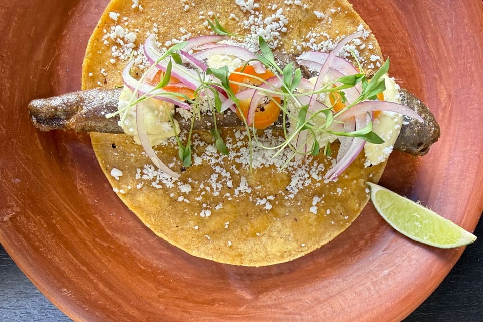 Taco de Nopal on a plate by chef Erick Pineda of Requinto