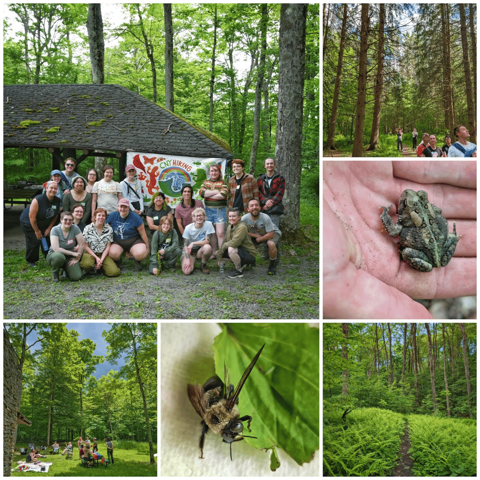 Some photos from our last Pride Hang & Hike at Highland Forest.