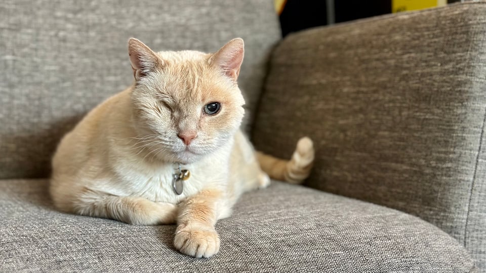 Half a Year in a Flash