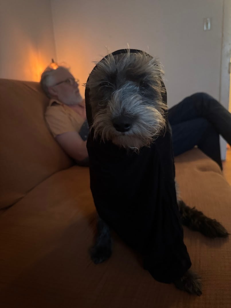 My brother's dog, Hig, wearing something crazy, and me in the background