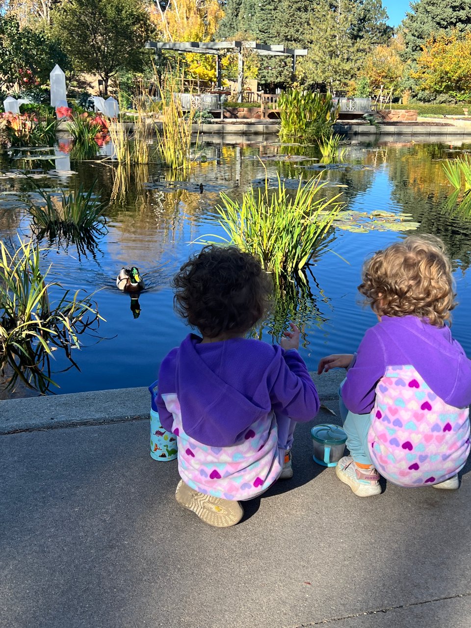 A pond with a duck swimming behind two curly-haired toddlers kneeling by the lake in the foreground