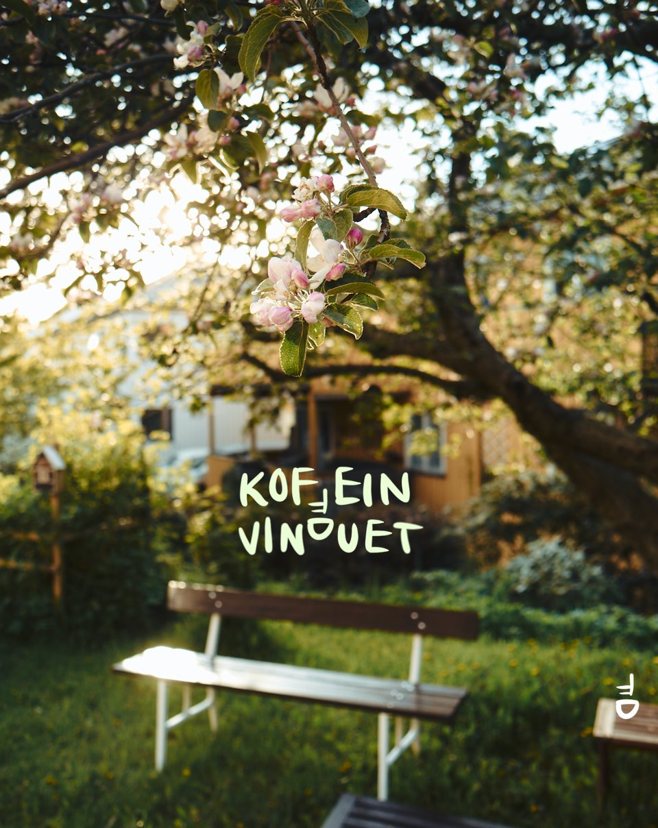 ☕️ Fargemåling av kaffe og graviditet