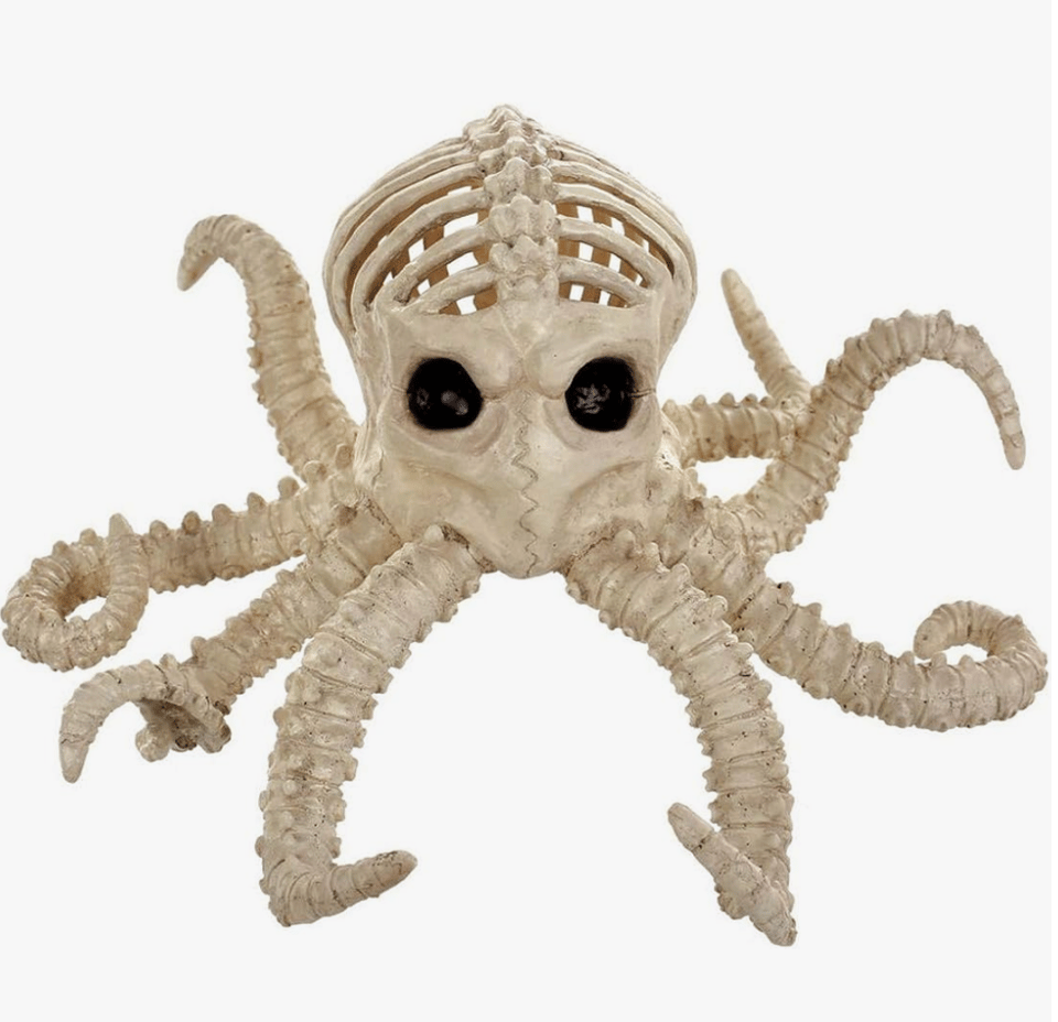 An interpretation of an octopus in bone form. The octopus's head is a ribcate and its limbs are spines