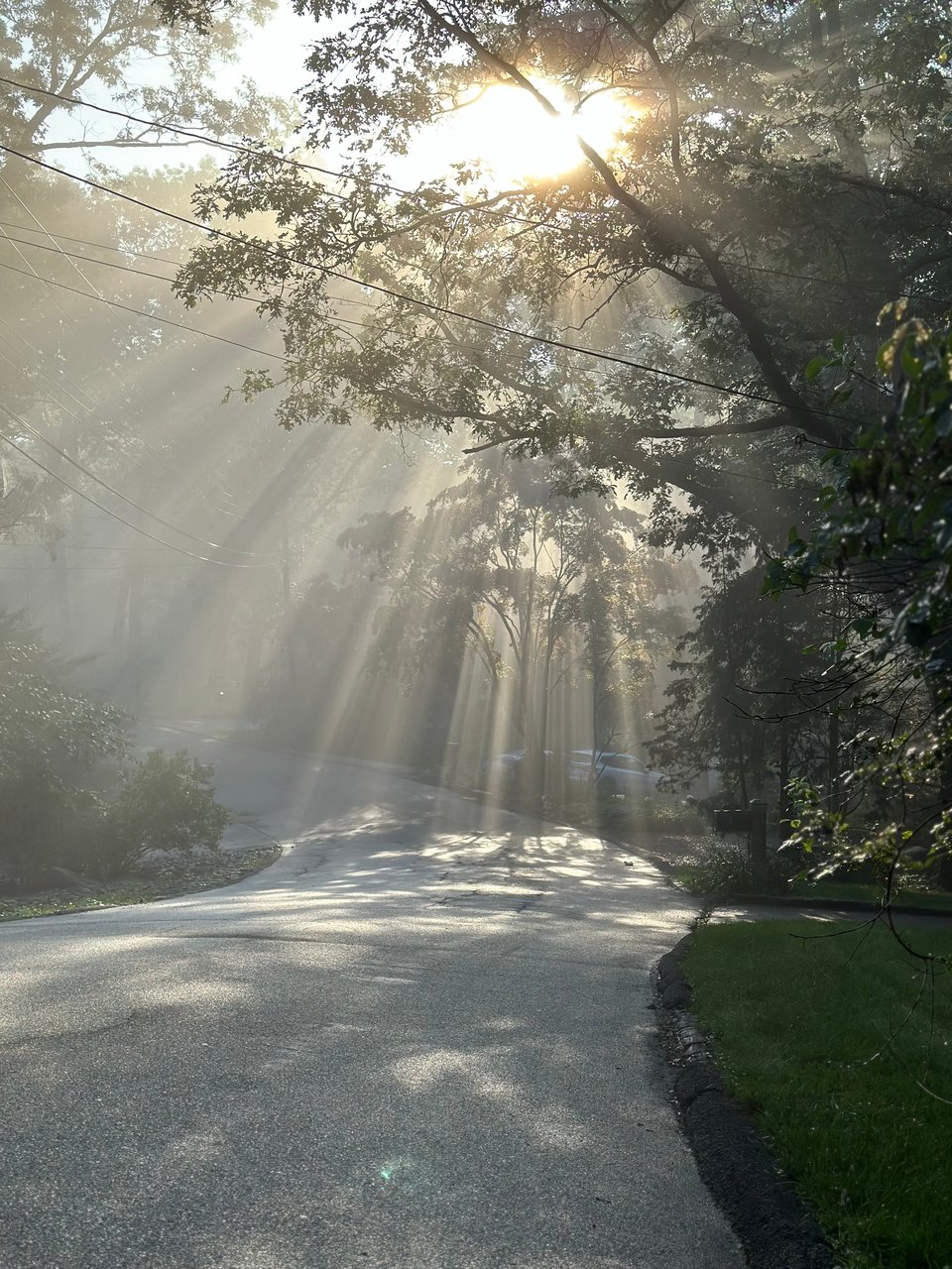 photo of suburban street with sunlight illuminating mist through the breaks in trees