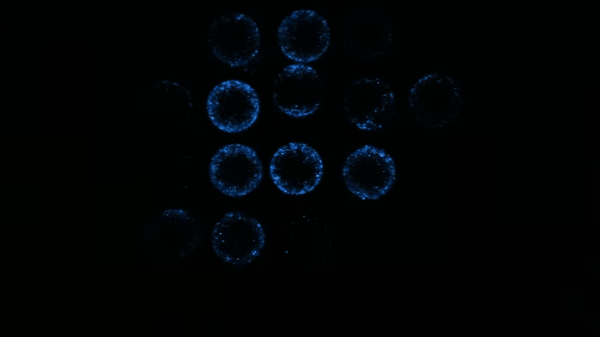 An animated gif of a grid of circular blue pixels that occasionally glow against a black background. The pixels are arranged in a grid perhaps 10 wide and 7 high. When each pixel glows, it looks like a circle that contains hundreds of tiny points of blue light, which themselves glow with irregular brightness. The effect is that the pixels are quite irregular in overall brightness -- some a quite dim, others are more bright, some have a dark area in the center of the pixel, others are bright all the way through, and when a pixel turns off it does so slowly -- it takes perhaps half a second to fade. As the pixels flash, they slowly create patterns that appear to move around the screen.