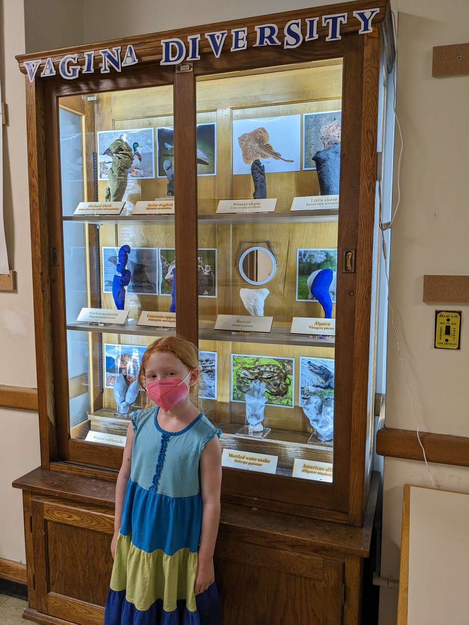 A photograph of my daughter wearing a blue striped stress and pink mask in front of Prof. Patricia Brennan's Vagina Diversity Cabinet in the hall outside her lab. Inside the cabinet are 3D printed vaginas from a variety of animal species. I took this picture in the summer of 2023 when I was lucky enough to visit Patty's lab and meet her students.