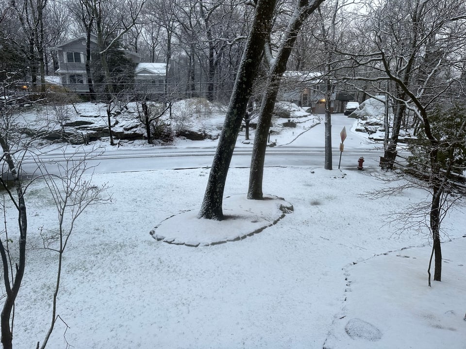 photo of snow-covered yard, trees and street, IN MID-APRIL