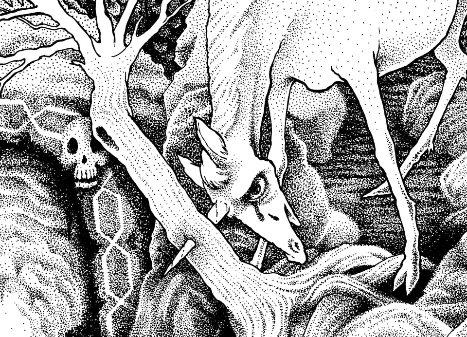 A picture of a unicorn stuck in a tree with their horn.
