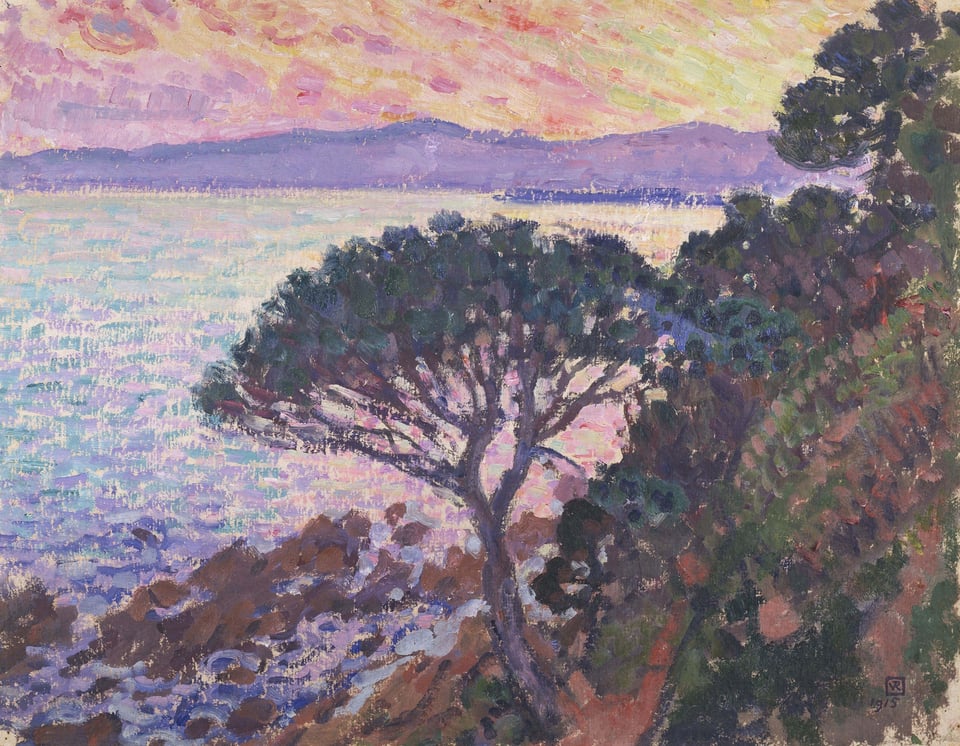 a pine-tree on a cliff overlooking the sea