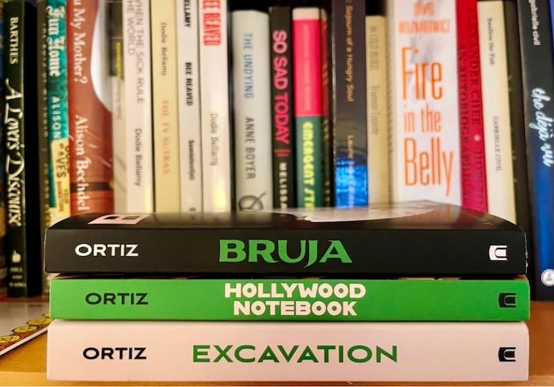 The spines of the books BRUJA, HOLLYWOOD NOTEBOOK, and EXCAVATION in the foreground, background is various other shelved books.