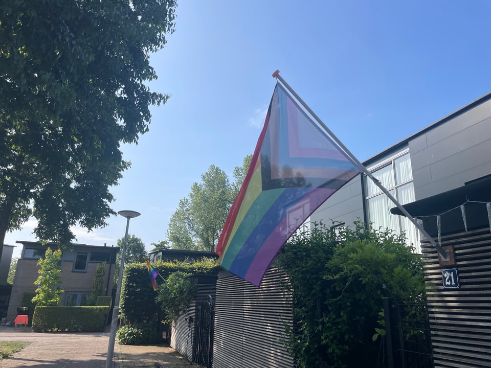 Two pride flags are shown on a quite residential street.