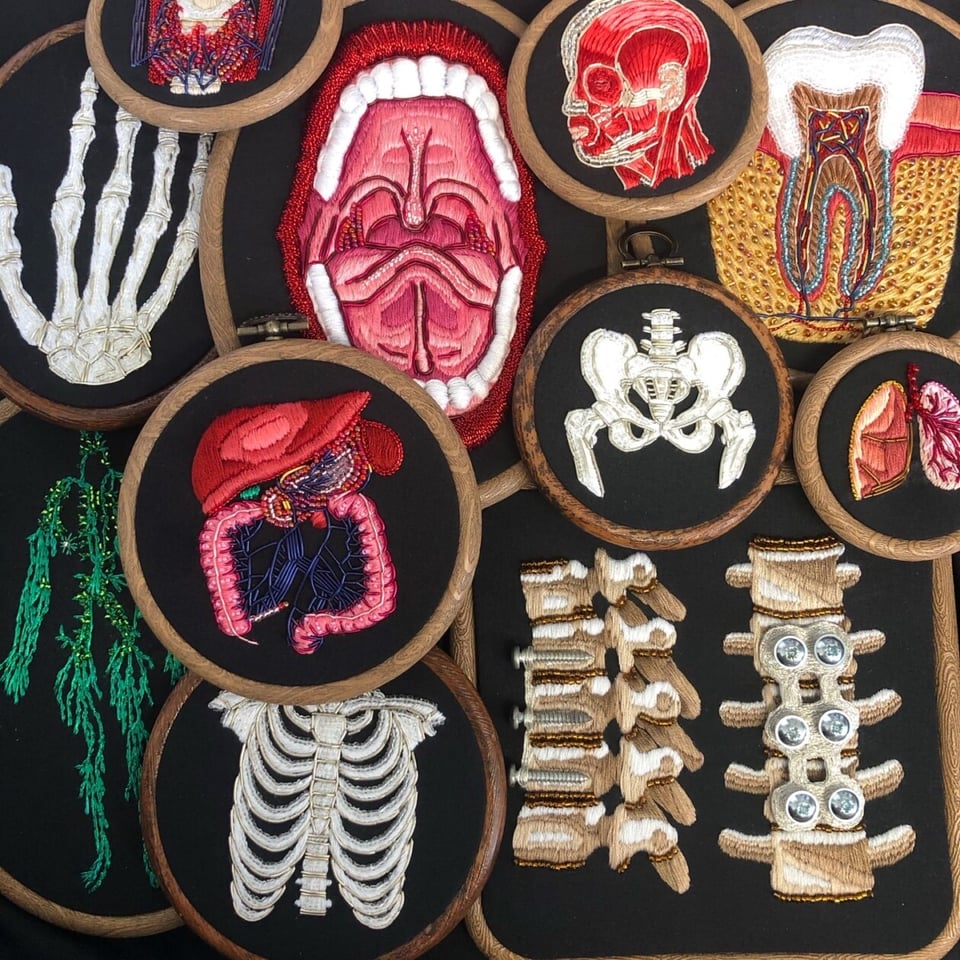 Works by Amber Griffiths. A pile of embroidery hoops, mostly circular, with various body parts embroidered onto black fabric. They include the inside of a mouth, the pelvis, the ribcage, the digestive system, the bones of the hand, and a section of the spine. Click image to view source.