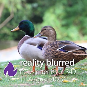 A duck with a green head and gray body, and a brown spotted duck, standing in grass covered with leaves. The words 'reality blurred newsletter issue 349, 11 August 2023'
