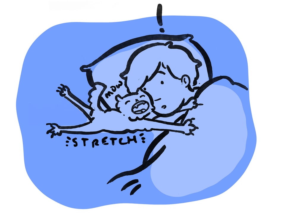 The tiny kitten stretches out impossibly long