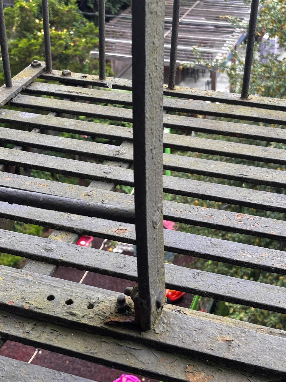 view of a mossy metal fire escape in Brooklyn