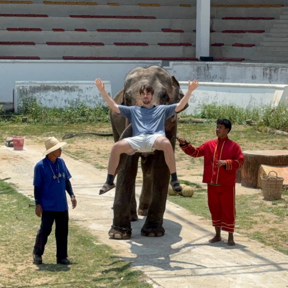 Mark on the trunk of an Elephant during a show in Thailand