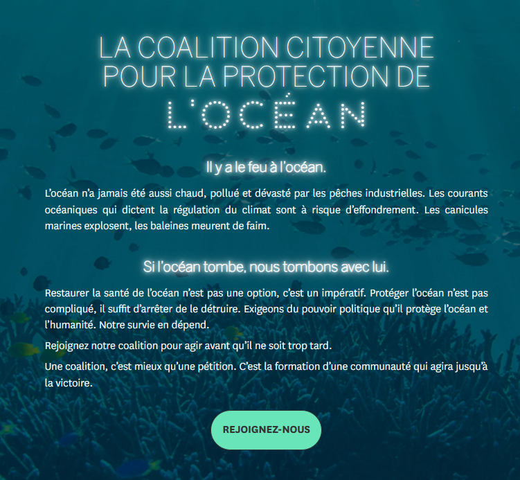 Page d'accueil du site https://www.oceancoalition.org/