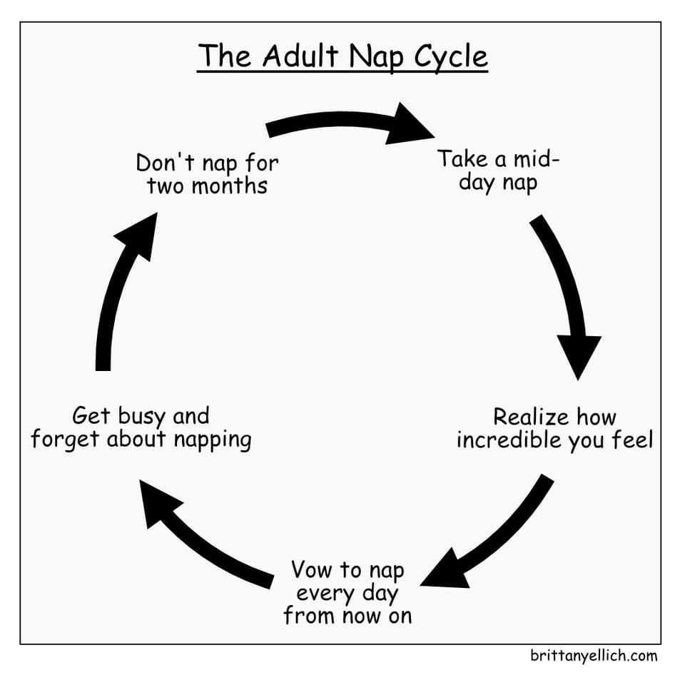 A 5-part cycle: Don't nap for two months, take a mid-day nap, realize how incredible you feel, vow to nap every day from now on, get busy and forget about napping (repeat forever)