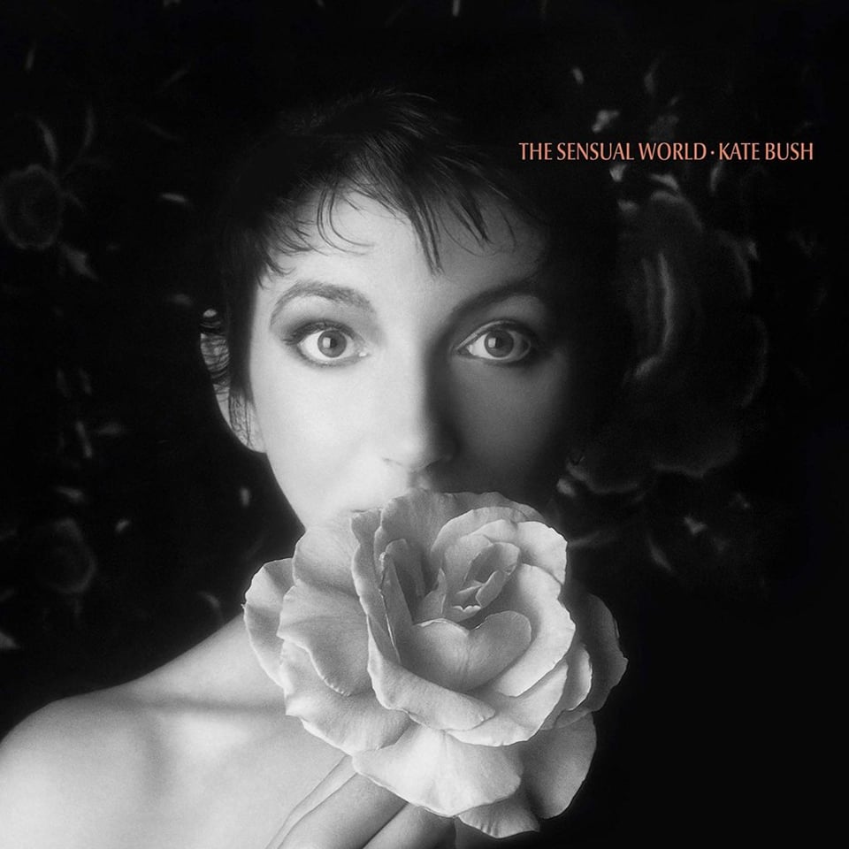 A black and white photo of Kate Bush, a white woman with dark hair and large eyes. She holds a rose in front of her mouth, obscuring it.