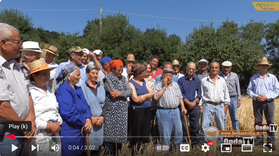 Image description: A still from a video, with many people standing in a field as one elder sings.