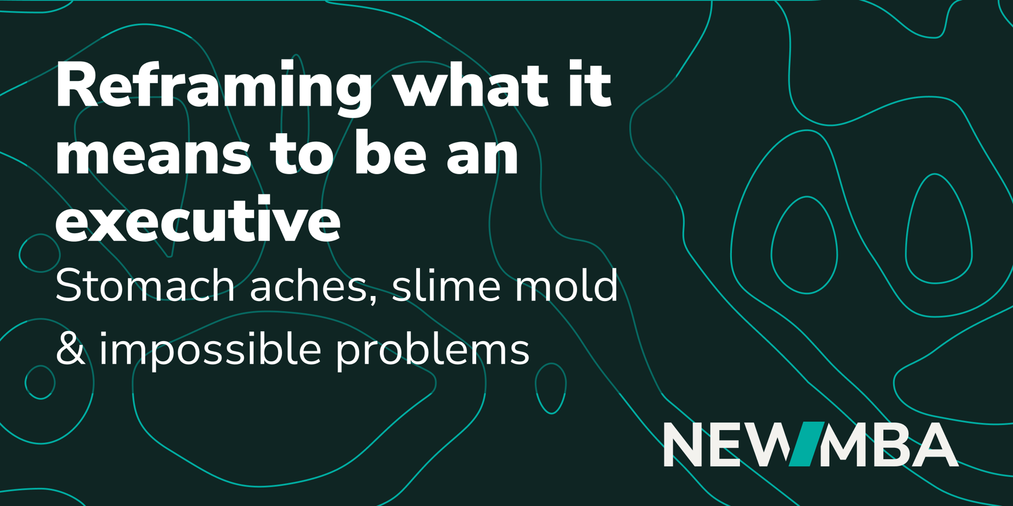 Reframing What it Means to be an Executive