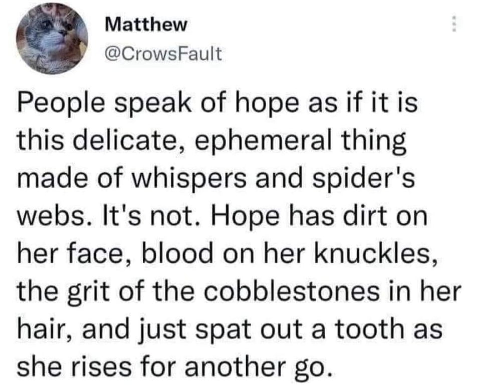 tweet from @crowsfault. people speak of hope as if it is this delicate, ephemeral thing made of whispers and spider's webs. it's not. hope has dirt on her face, blood on her knuckles, the grit of the cobblestones in her hair, and just spat out a tooth as she rises for another go.