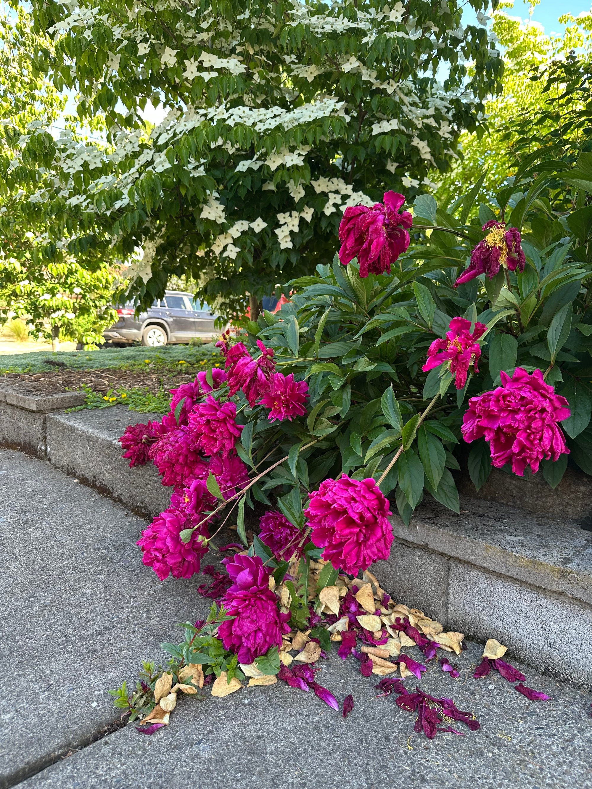 Musing: Peak eavesdropping season