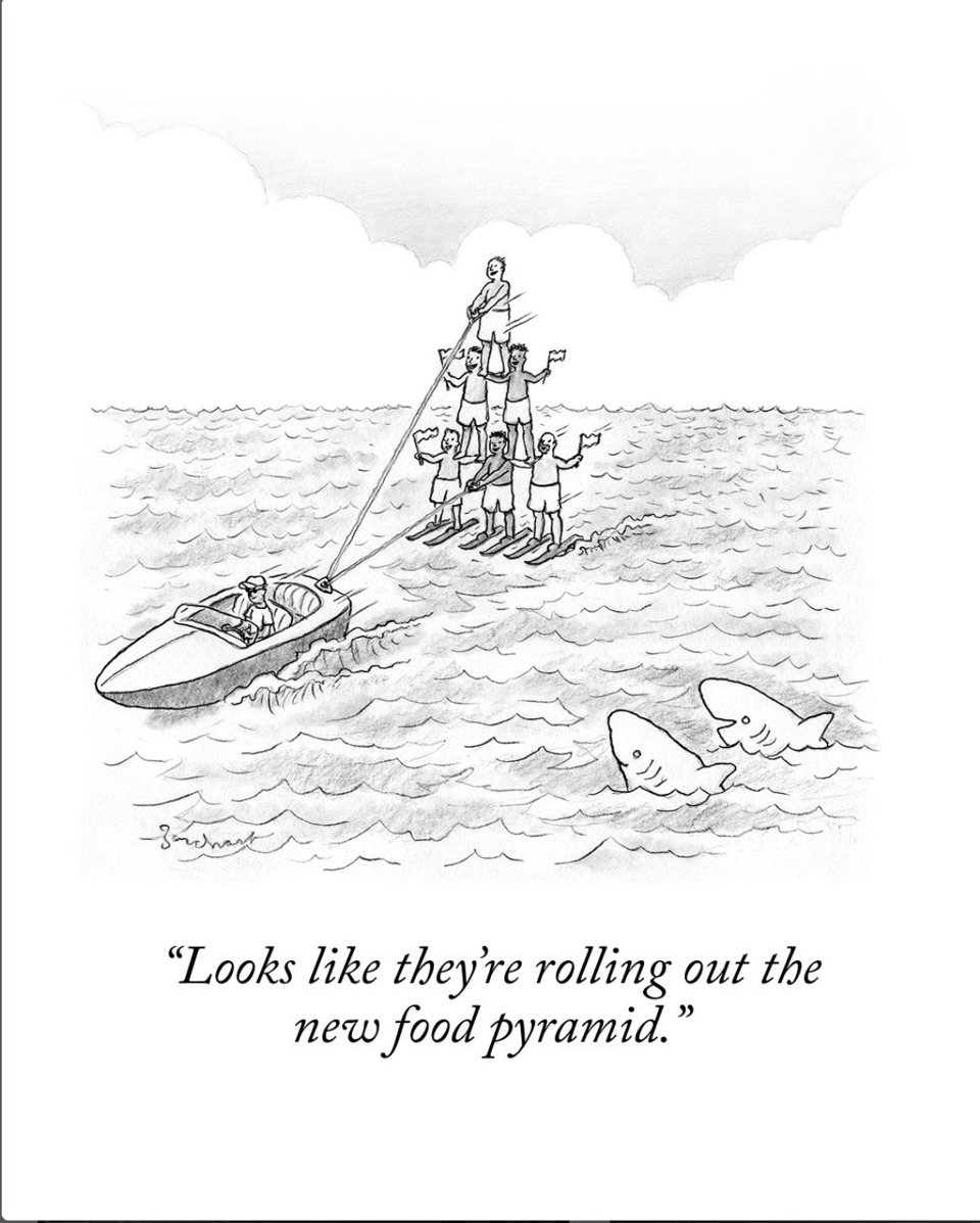 A New Yorker Cartoon. A boat is towing a human pyramid on waterskis. Two sharks are watching, and one says to the other "Looks like they're rolling out the new food pyramid"