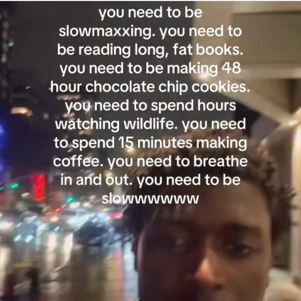 you need to be slowmaxxing. you need to be reading long, fat books. you need to be making 48 hour chocolate chip cookies. you need to spend hours watching wildlife. you need to spend 15 minutes making coffee. you need to breathe in and out. you need to be slowwwwwww.