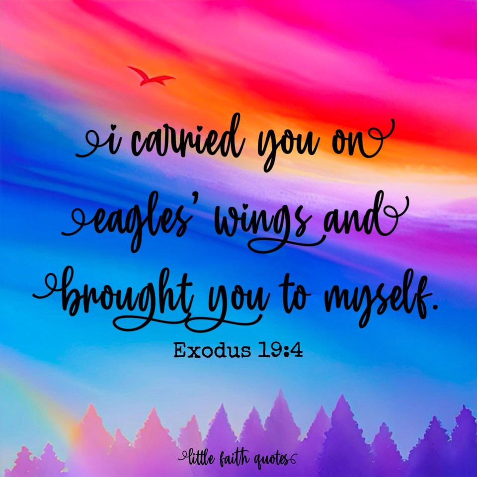 "I carried you on eagles’ wings and brought you to myself." ~Exodus 19:4. Purple and pink evergreen trees stretch towards a blue, orange, and hot pink sky. Image by: @Little Faith Quotes.