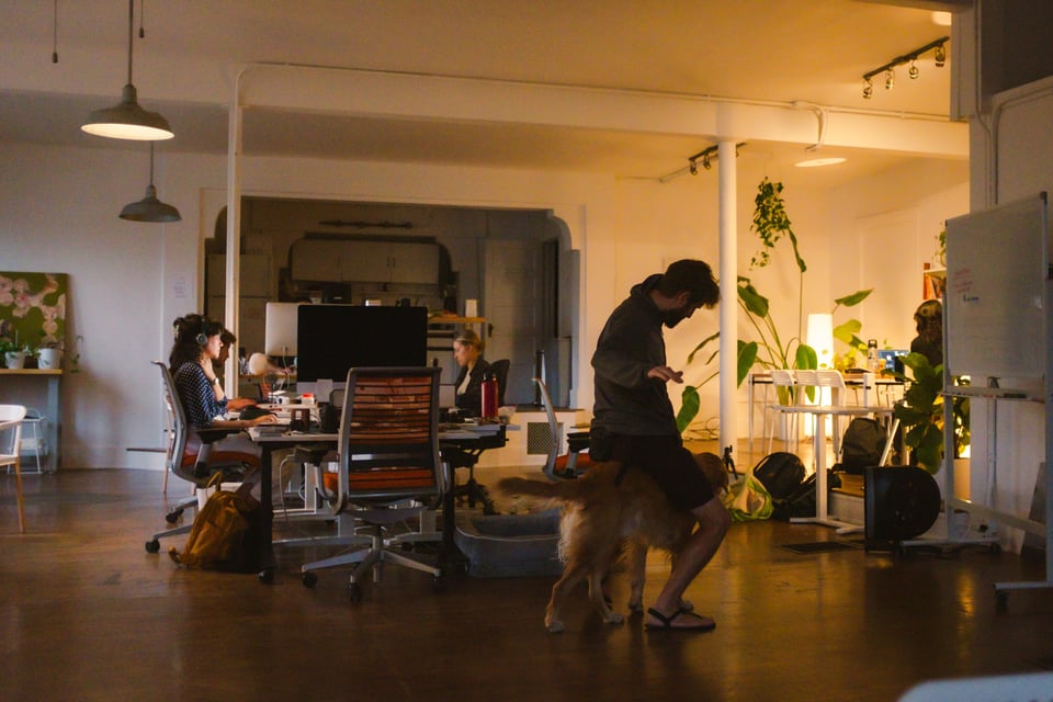 A room of people allegedly working.