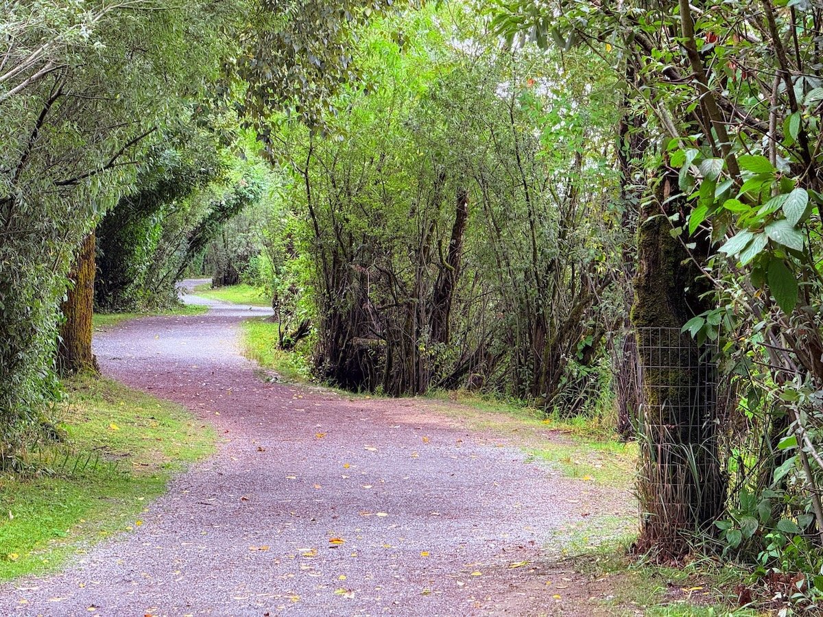 Matsqui Trail Regional Park