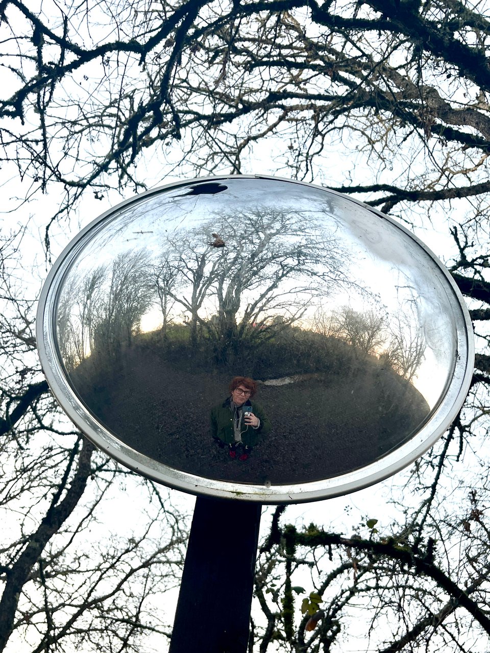 a round traffic mirror in the woods showing a warped imagine of a woman in a green jacket, taking a selfie, background of black oak trees against gray sky