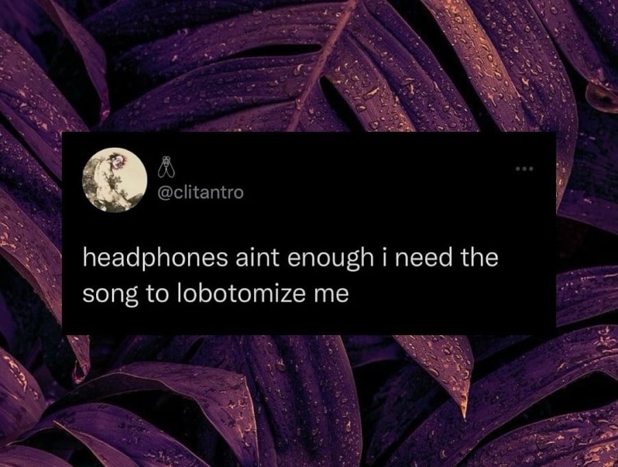 headphones ain't enough i need the song to lobotomize me