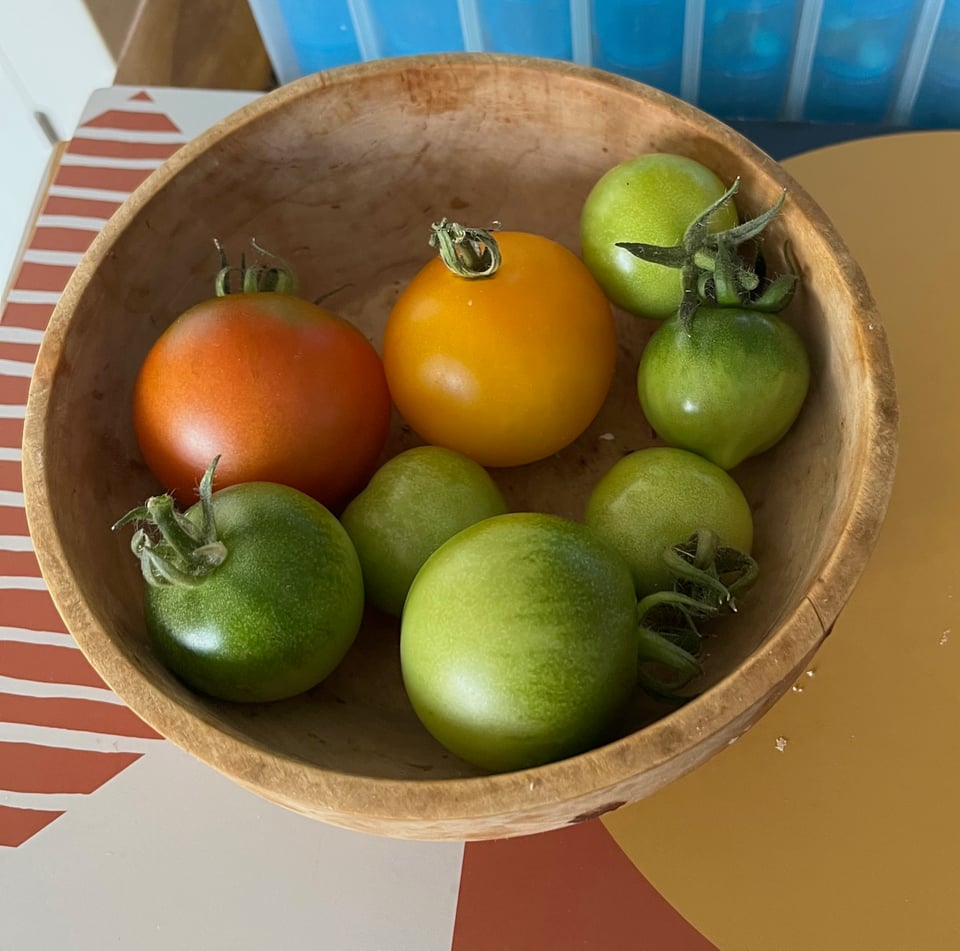 a wooden bowl on a brightly coloured tablemat. Tomatoes in it, one red, one yellow and several green ones ripening