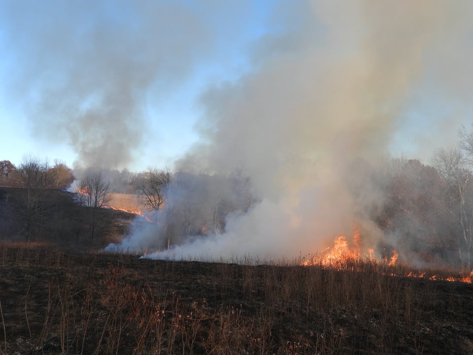 A controlled burn in Frontenac State Park. That blackened prairie will bloom beautifully in the spring. / Photo by Steve Dietz