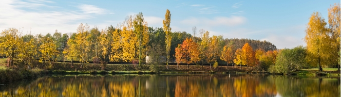 A lake lined with trees turning colors in fall
