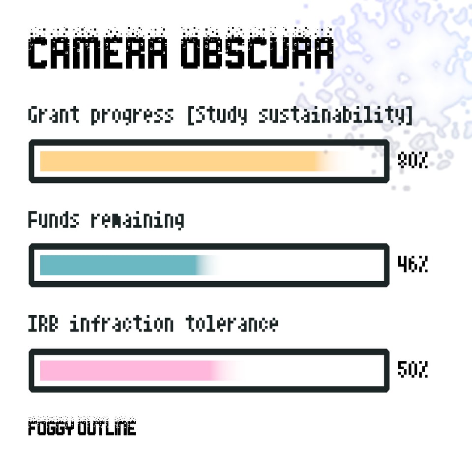 Camera Obscura from Foggy Outline. Grant progress 80%. Funds remaining 46%. IRB infraction tolerance 50%.