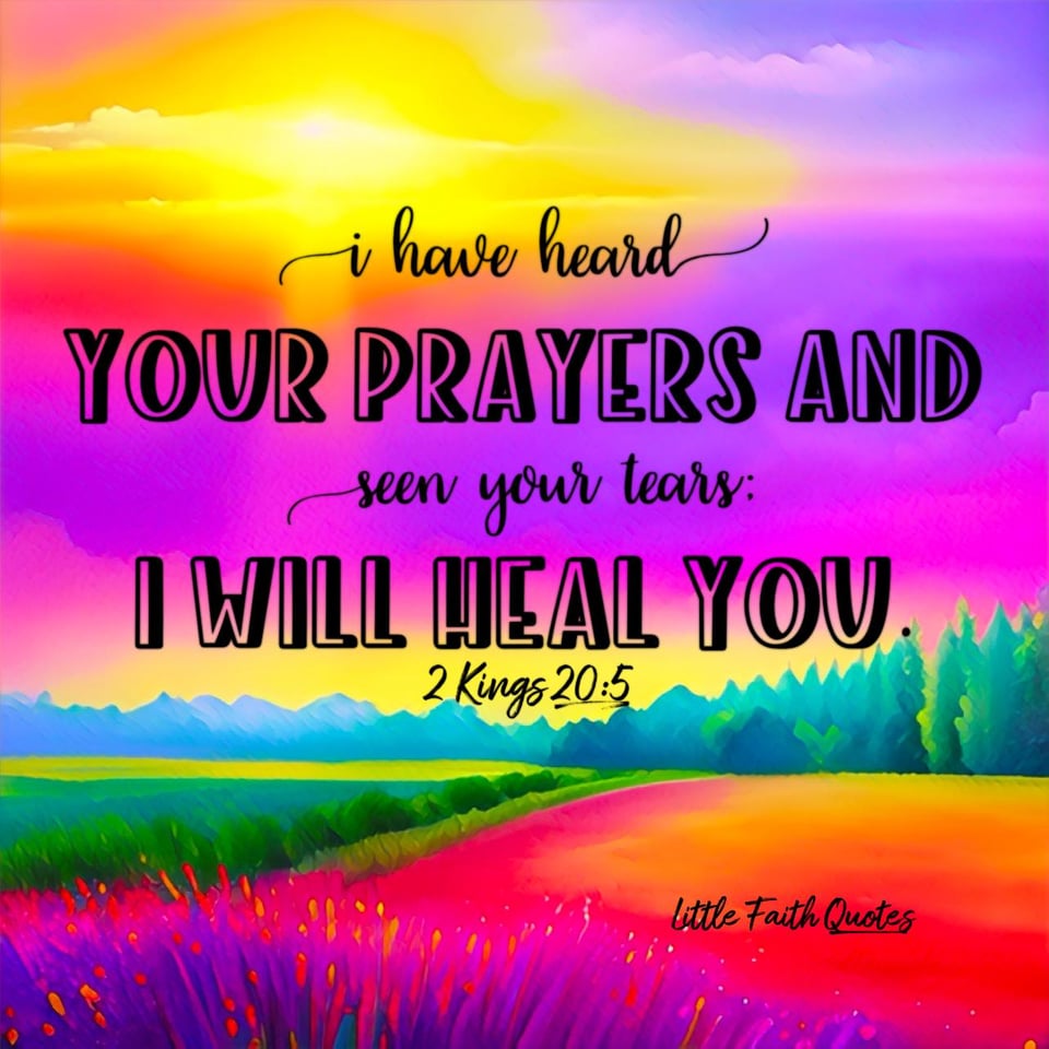 “Go back and tell Hezekiah, the ruler of my people, ‘This is what the LORD, the God of your father David, says: I have heard your prayers and seen your tears; I will heal you. On the third day from now you will go up to the temple of the LORD." ~2 Kings 20:5. The sun sets in a beautiful purple and pink sky. The sun dances off a meadow filled with orange and purple flowers and green grass. Evergreen trees rise in the distance around the meadow. Image by: @Little Faith Quotes.