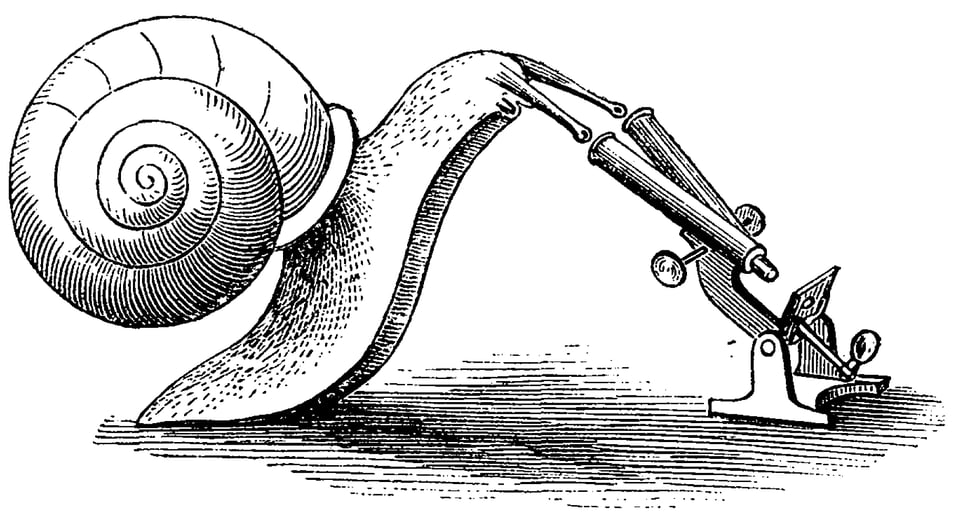 Image description: A snail looks through a microscope