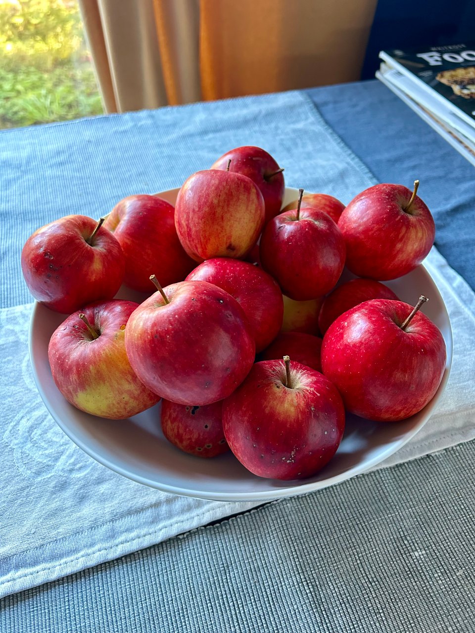 A white bowl with bright red apples in is sitting on a table with finely striped navy and white cloth. There are gold velvet curtains in the background and a small piece of garden through the window. Image by Rowan Ambrose.