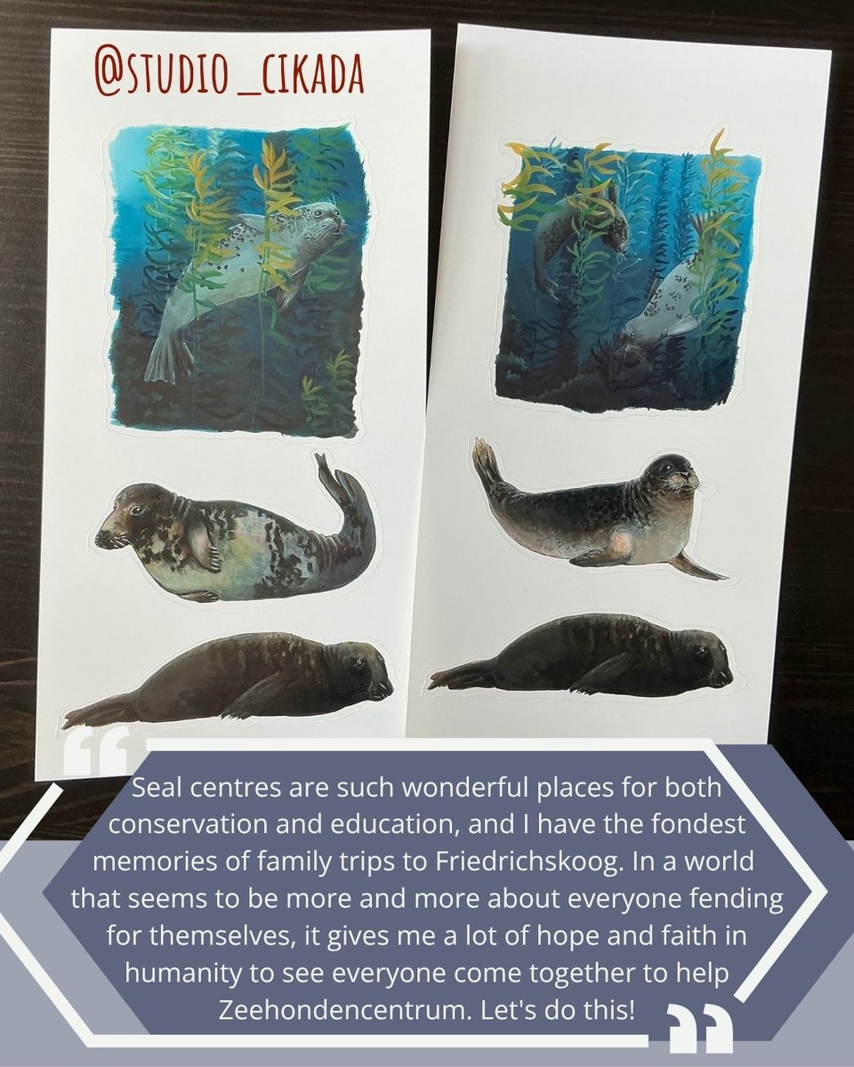 Two sticker sheets with seal stickers tradtionally painted, two stickers are harbor seals diving through kelp, two are a female and a male grey seal, and one adult harbor seal.