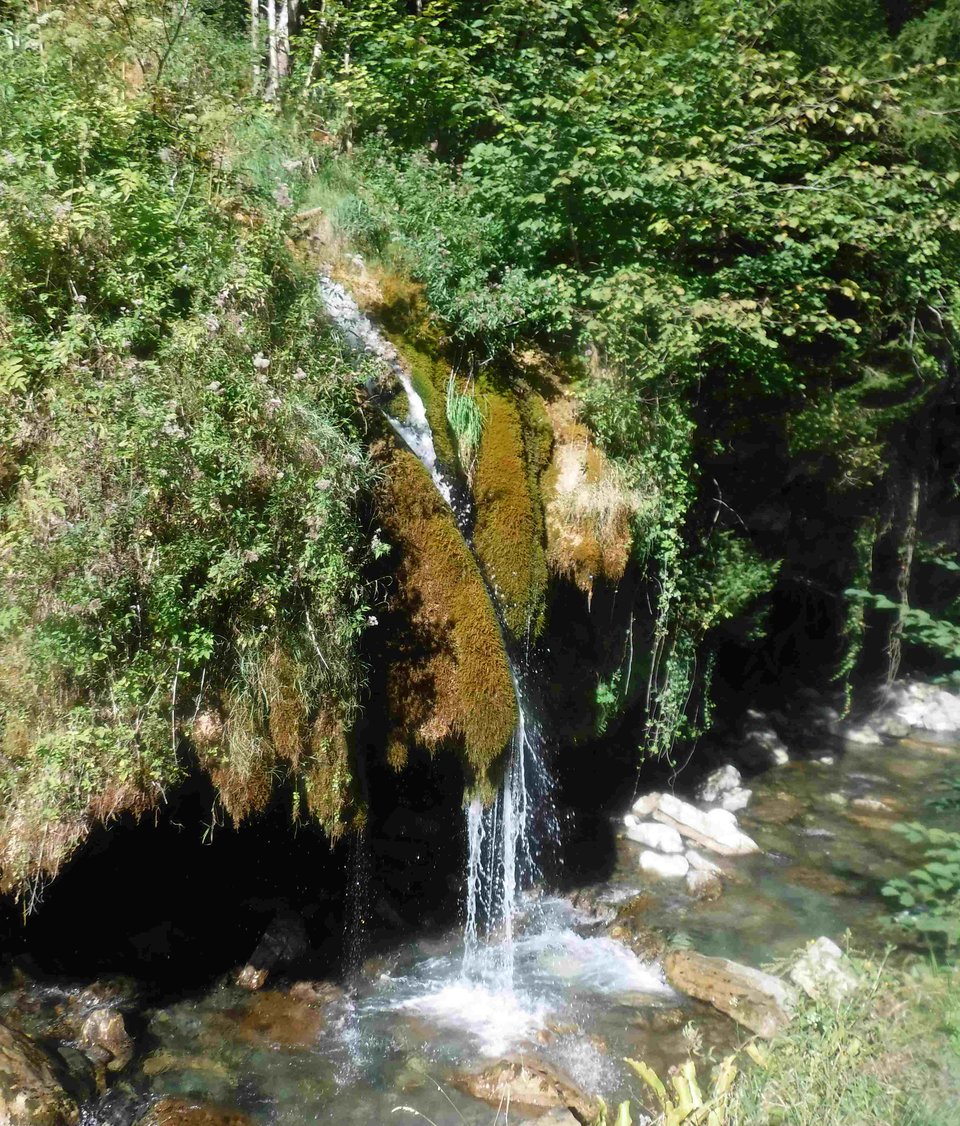Cratoneurion sur le Gave du Gabarret (64) dit Cascade de Goudé.