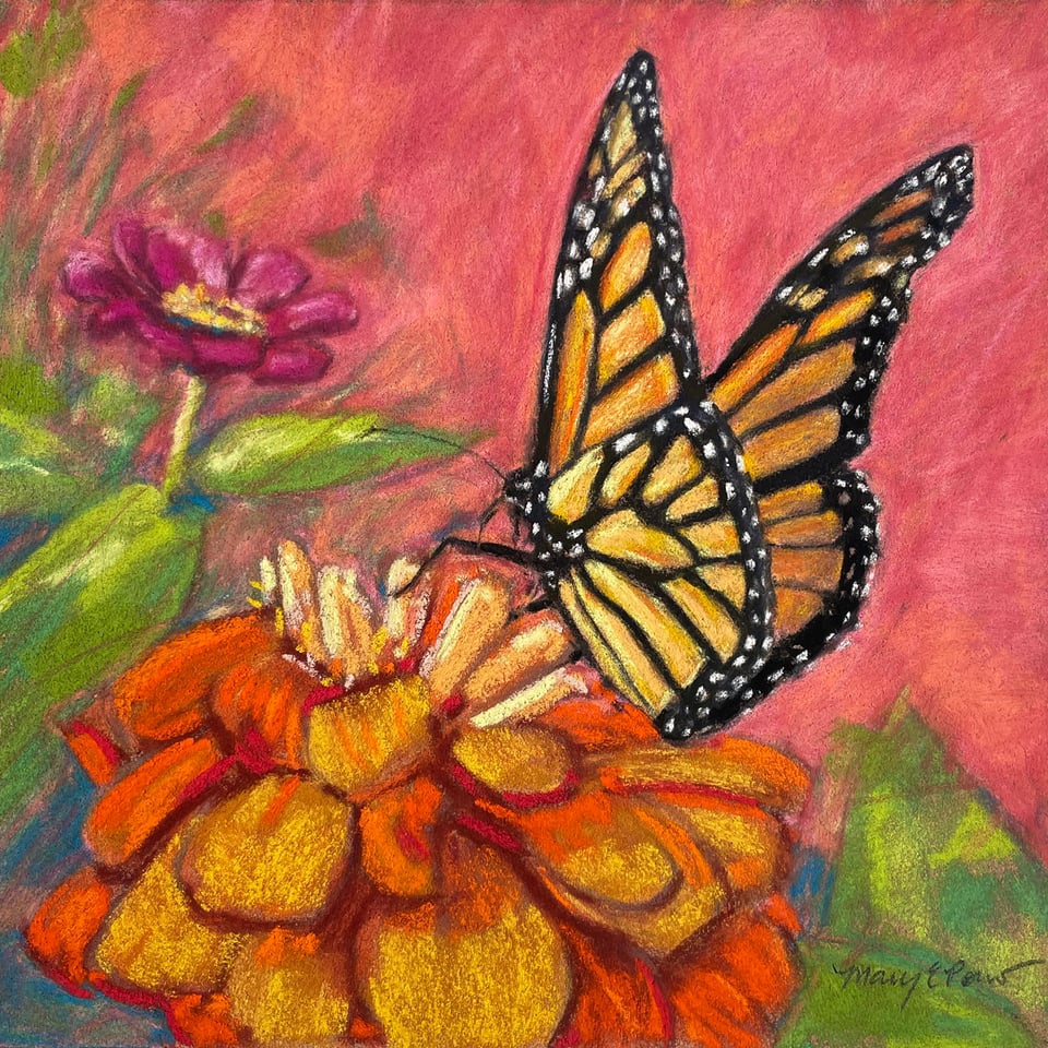Pastel Painting of a monarch butterfly by Mary Pow