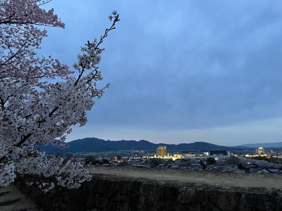 A night view of Matsusaka with famous peaks in the background and a burst of cherry blossoms in the foreground.