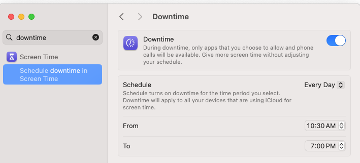 The "Downtime" menu on my Mac Mini, part of the System Preferences page.