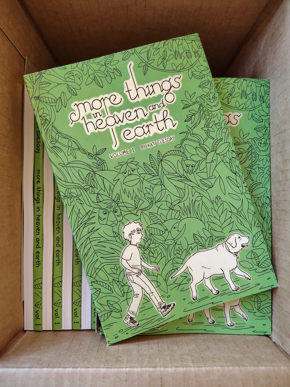 A book cover. A boy and his dog in front of a leafy background with hidden animals.